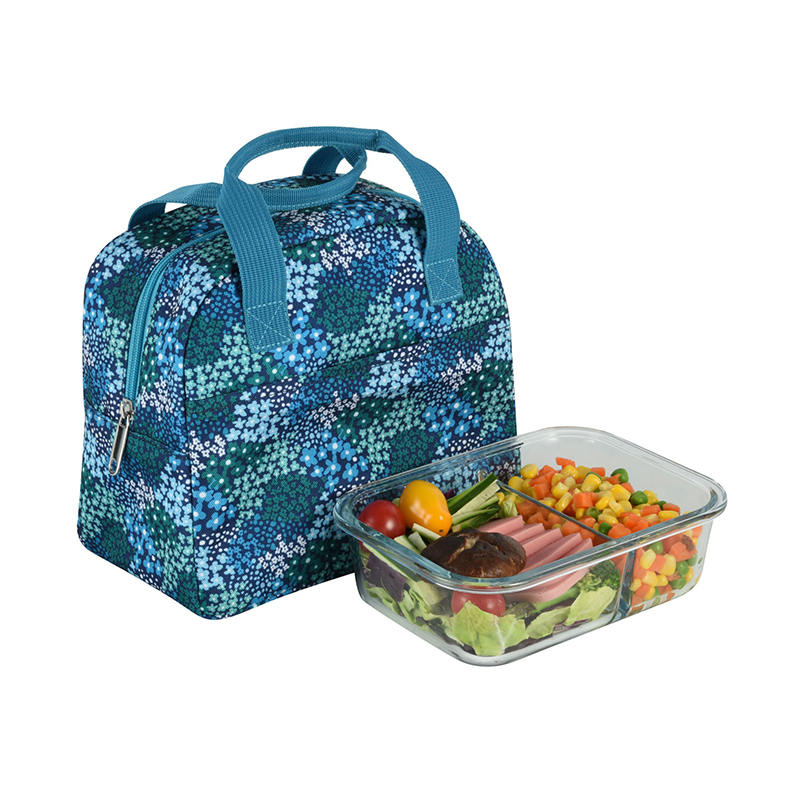 JS-CL-011-Geantă frigorifică / Geantă pentru picnic