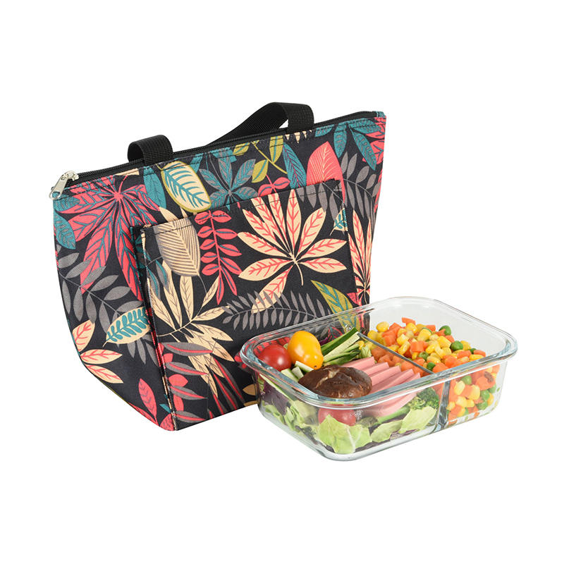 JS-CL-009-Geantă frigorifică / Geantă pentru picnic