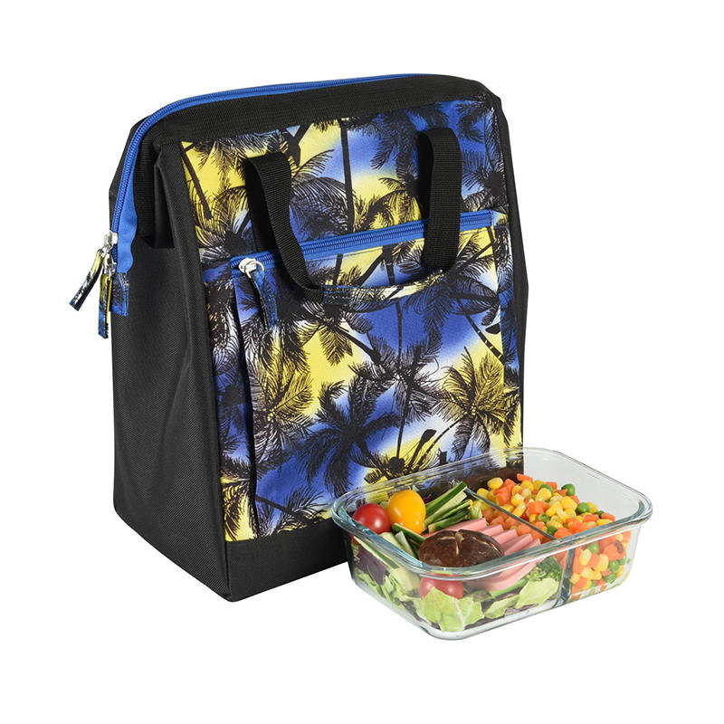 JS-CL-007L-Geantă frigorifică / Geantă pentru picnic